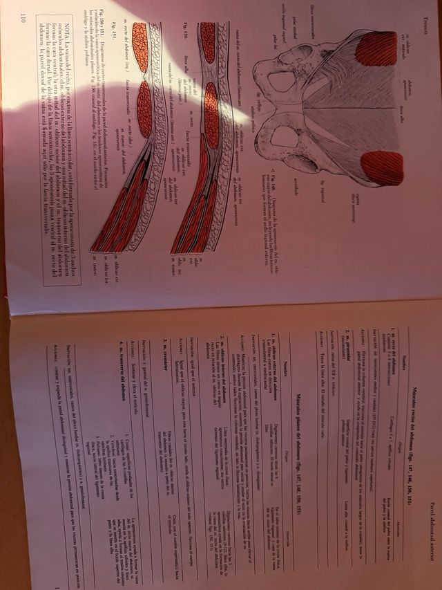 Sobotta Atlas de Anatomia 2