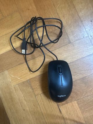 Raton USB