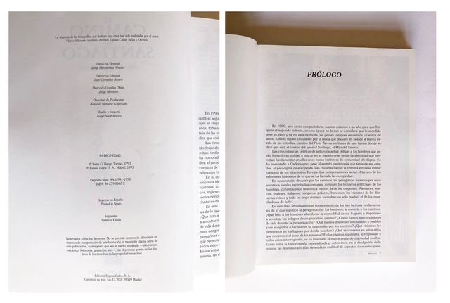 El camino de Santiago