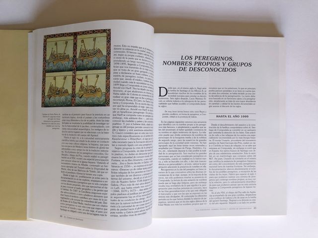 El camino de Santiago