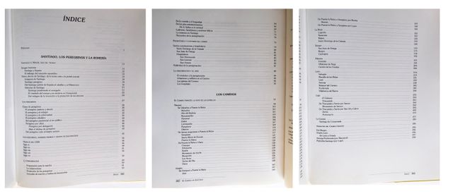 El camino de Santiago