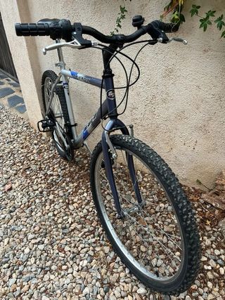 Bici BH adulto
