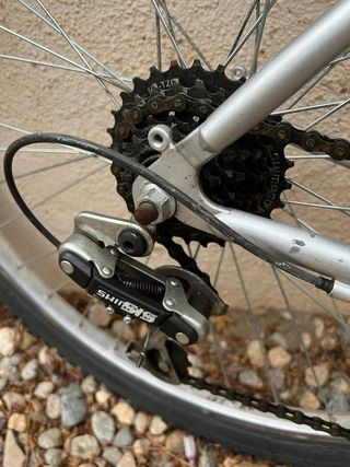 Bici BH adulto