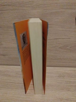 El tesoro de Gotland: una novela de Stortebeker