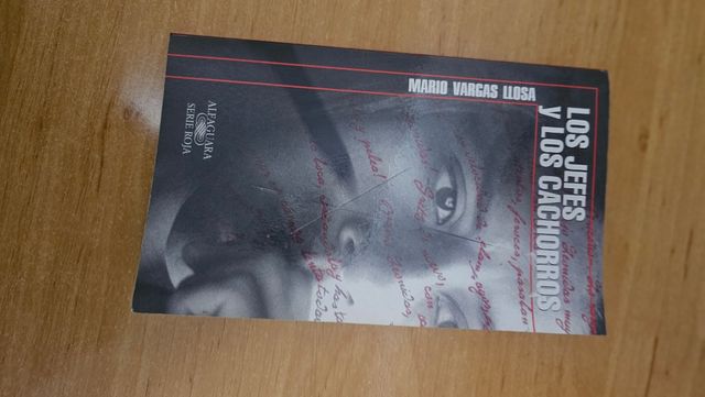 LOS JEFES Y LOS CACHORROS VARGAS LLOSA - SERIE ROJA (Serie Roja (Alfaguara (Firm)).) (Spanish Edition)