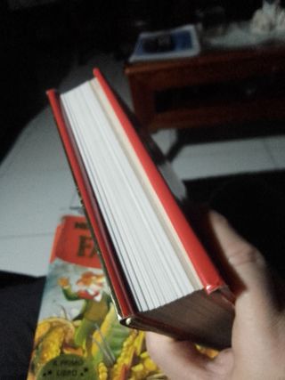 Libri illustrati Geronimo Stilton