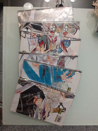 TRINITY BLOOD 06 (Spanish Edition)
