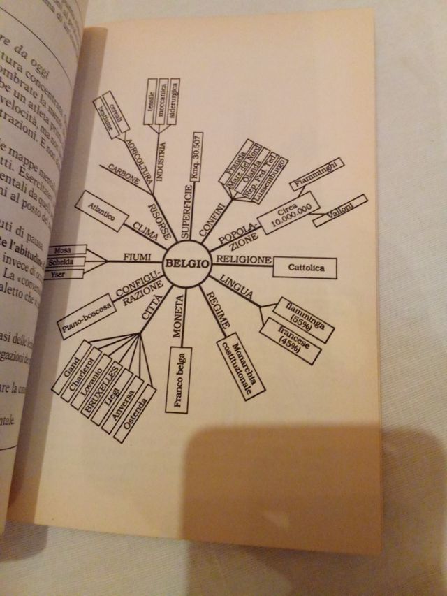 Come Sopravvivere A Scuola. Per Le Scuole Superiori