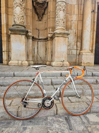 Bicicleta zeleris G.A.C.