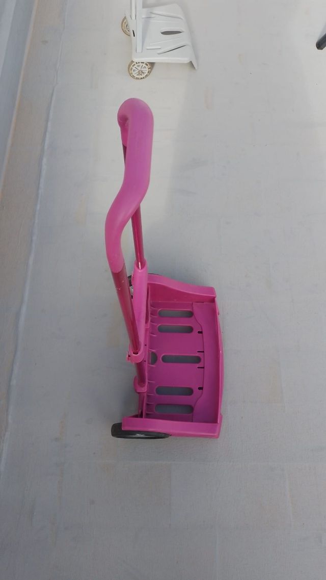 Carro para el colegio 