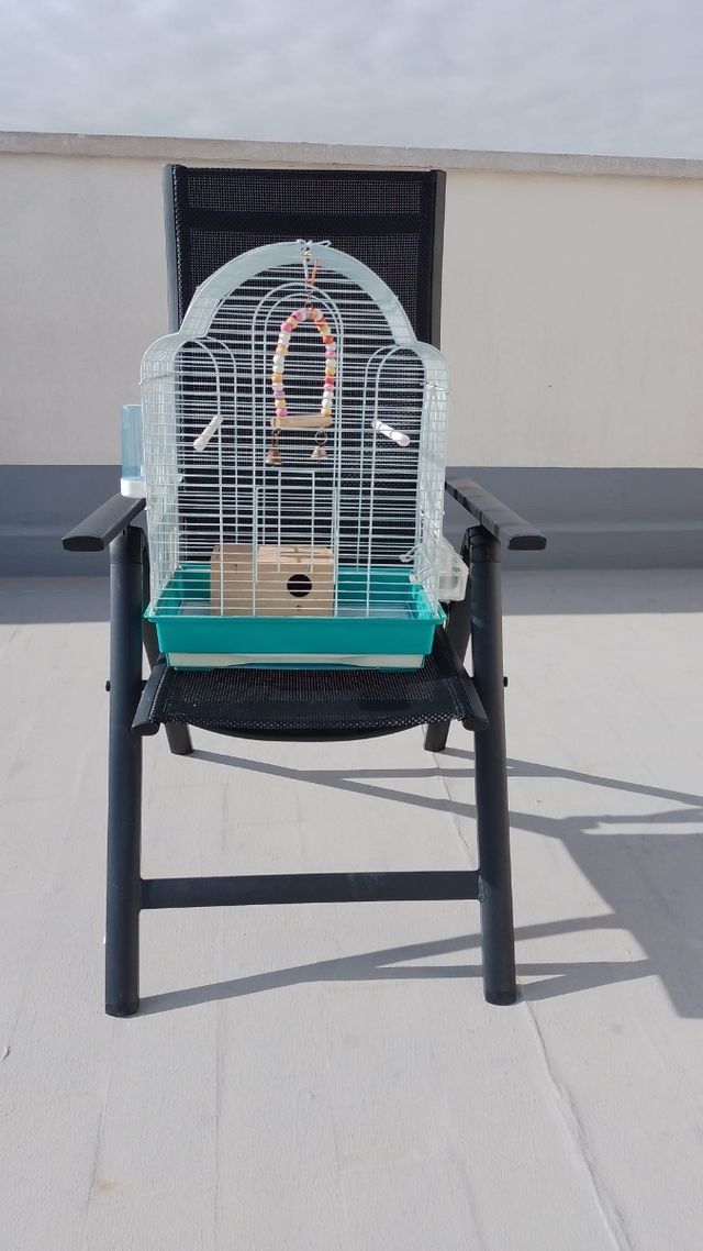 Jaula para pájaros 