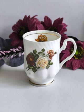 Preciosa Taza Mug porcelana