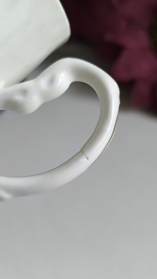 Preciosa Taza Mug porcelana