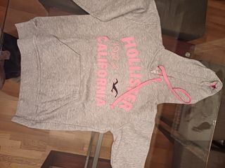 Sudadera hollister niña gris y rosa