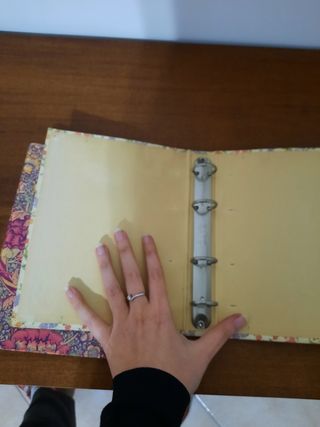 Raccoglitore ad anelli Pigna