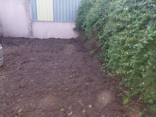 Limpiezas en jeneral 