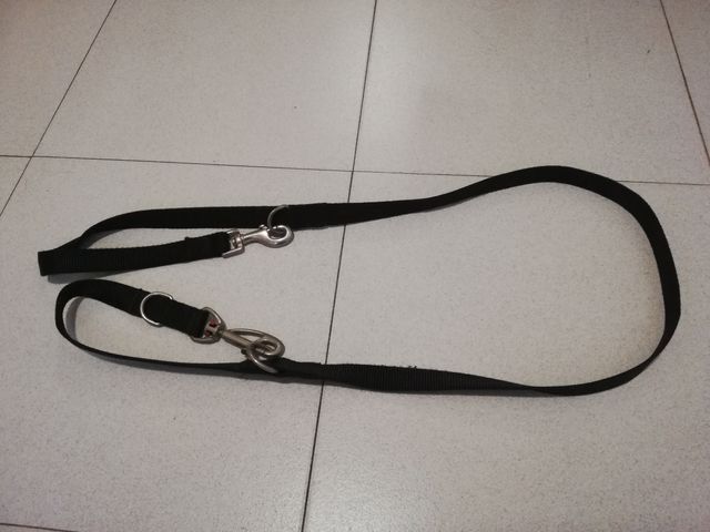 Correa ajustable para perro