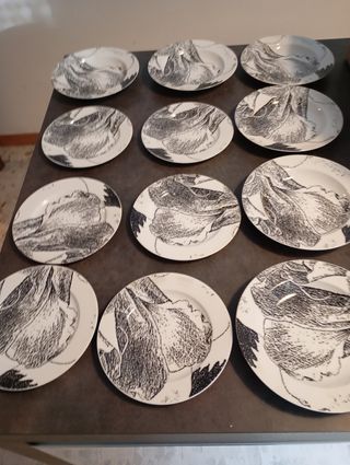 Set 13 piatti 1 grande 6 piani 6 fondi Croff Bavar