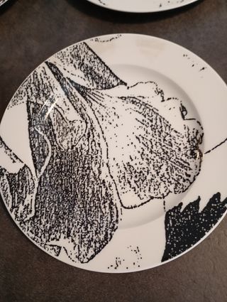 Set 13 piatti 1 grande 6 piani 6 fondi Croff Bavar