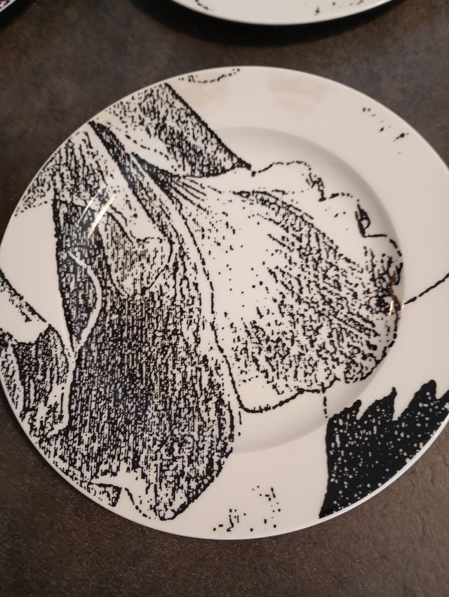 Set 13 piatti 1 grande 6 piani 6 fondi Croff Bavar