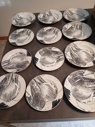 Set 13 piatti 1 grande 6 piani 6 fondi Croff Bavar