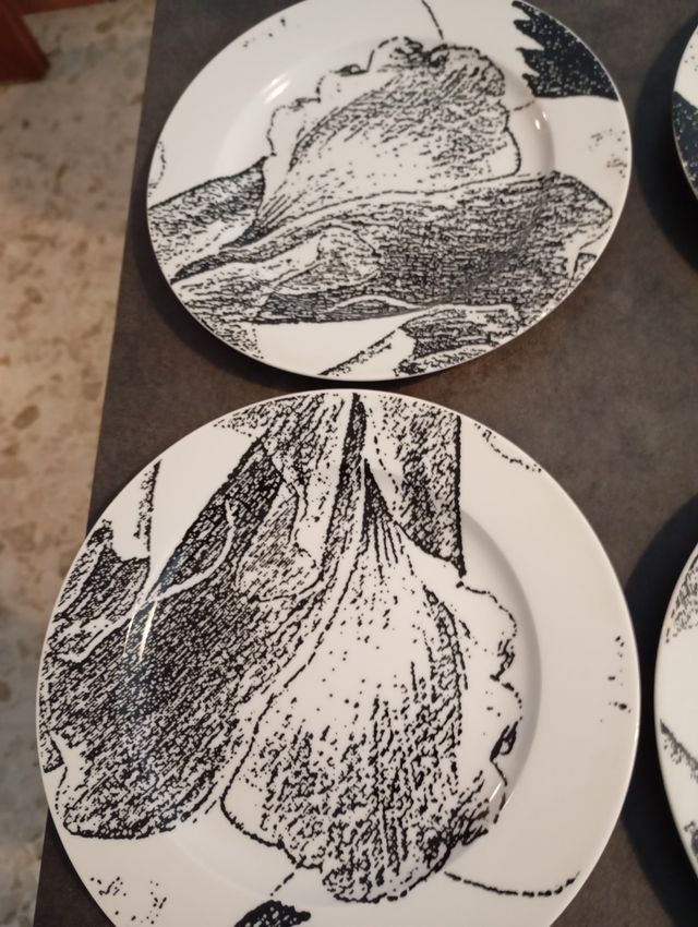 Set 13 piatti 1 grande 6 piani 6 fondi Croff Bavar