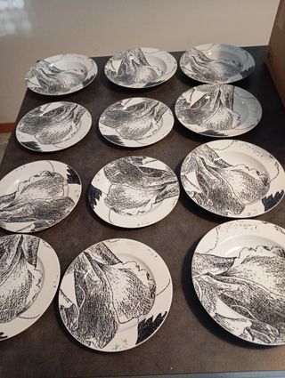 Set 13 piatti 1 grande 6 piani 6 fondi Croff Bavar