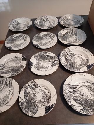 Set 13 piatti 1 grande 6 piani 6 fondi Croff Bavar