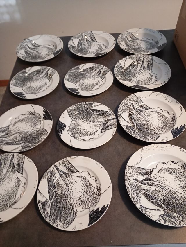 Set 13 piatti 1 grande 6 piani 6 fondi Croff Bavar