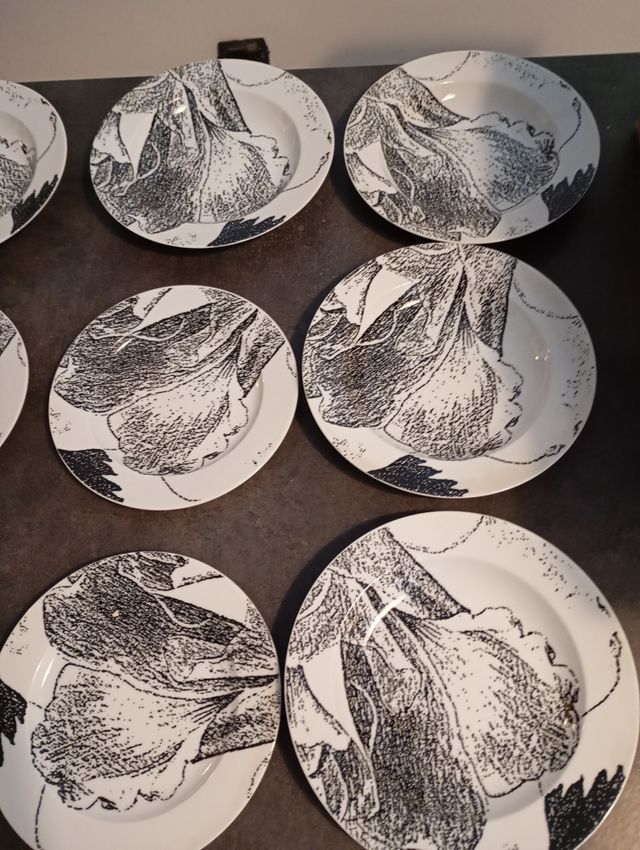 Set 13 piatti 1 grande 6 piani 6 fondi Croff Bavar