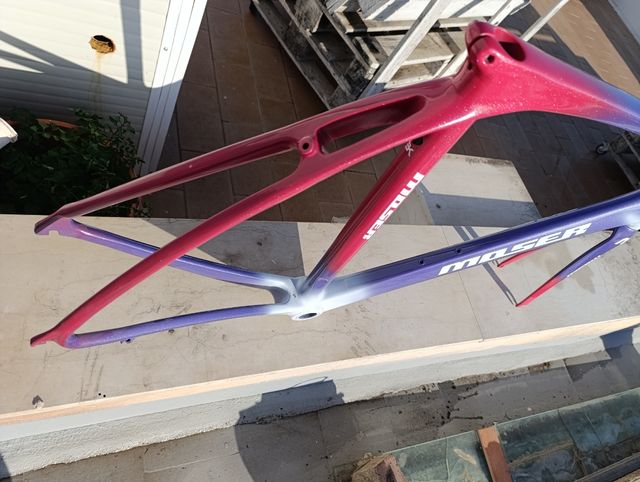 Telaio carbonio Moser