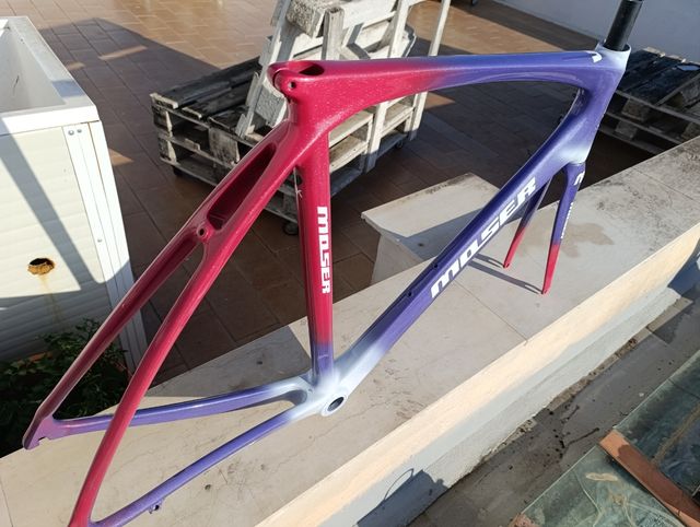 Telaio carbonio Moser