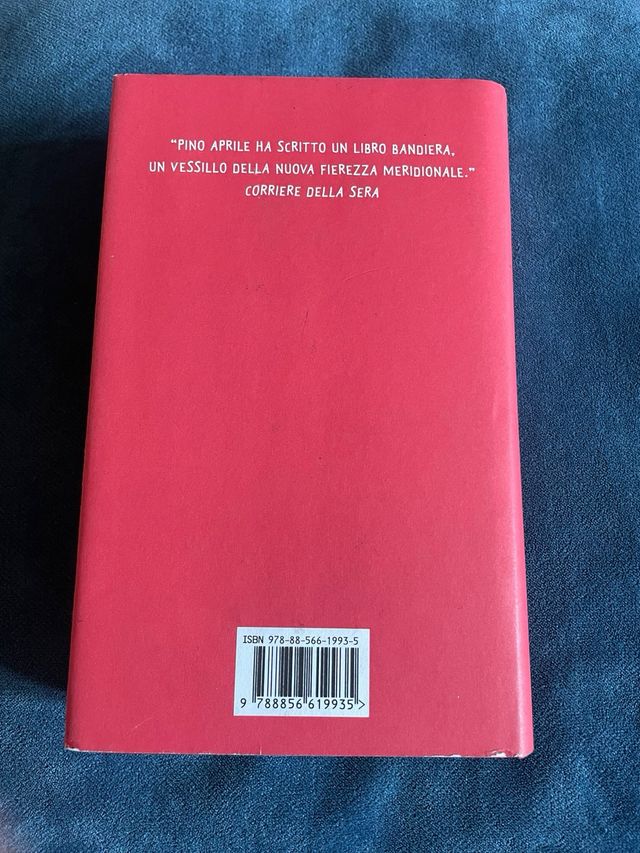 Giù al Sud. Perché i terroni salveranno l'Italia