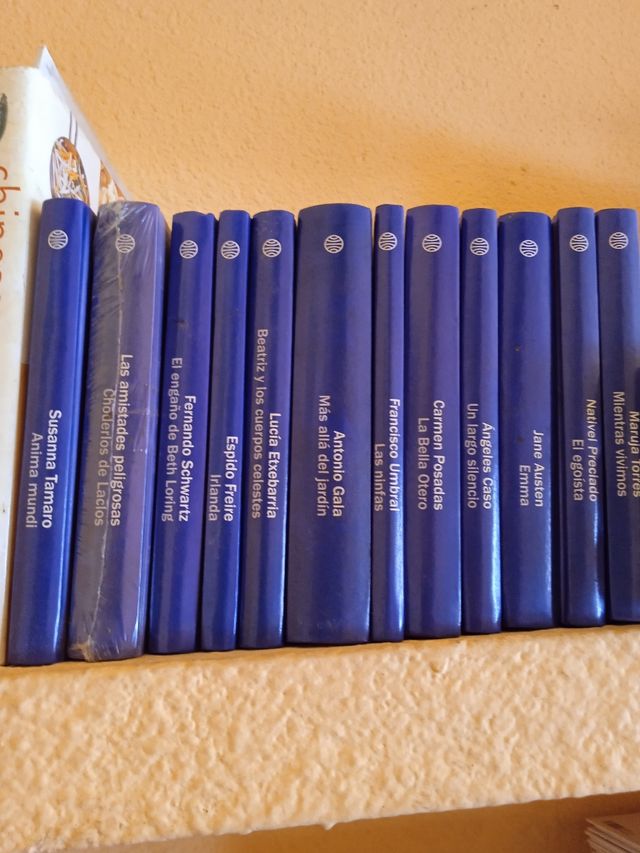 Lote 12 novelas escritores españoles 