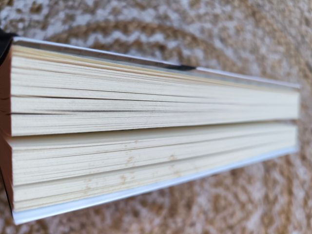 La vida mentirosa de los adultos