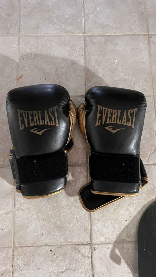 Guantes de Boxeo Everlast