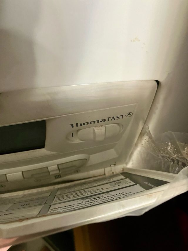 Nueva caldera Saunier Duval themafast f 30 e hmod