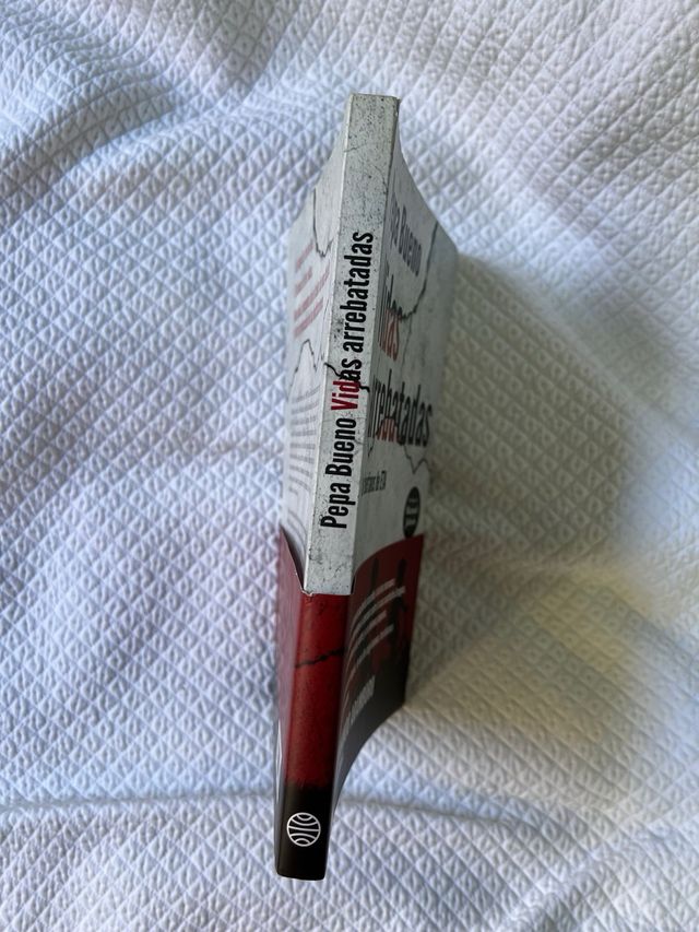 Libro “Vidas arrebatadas” de Pepa Bueno