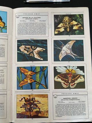 Album de 1982. Ciencias naturales