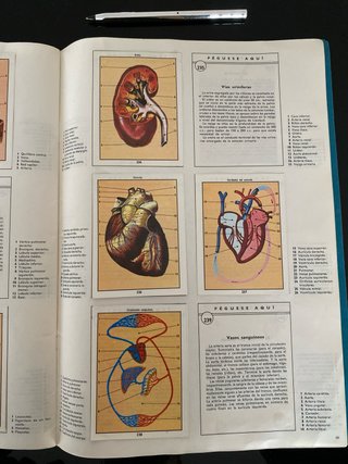 Album de 1982. Ciencias naturales