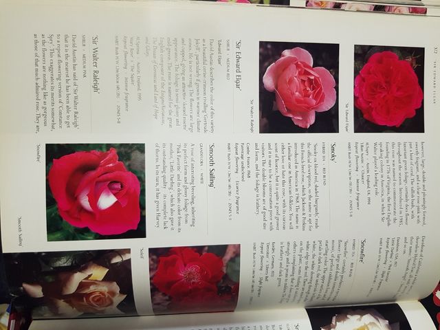 The Ultimate Rose Book: New Expanded Edition