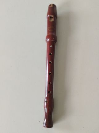 Flauta dulce Goldon solist
