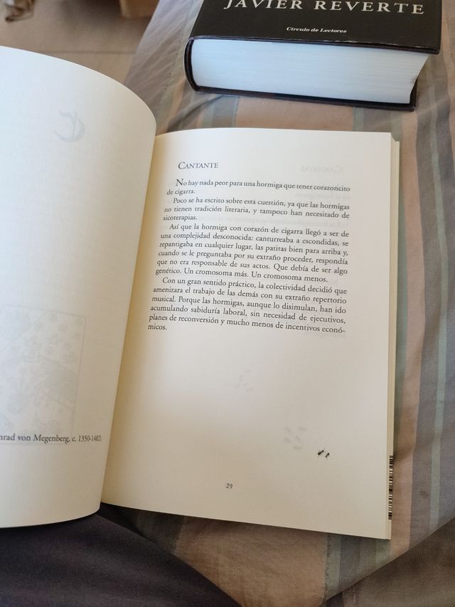 Diccionario de hormigas