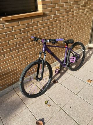 Bici de stunt morada