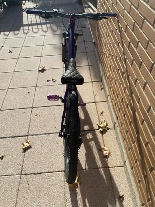 Bici de stunt morada
