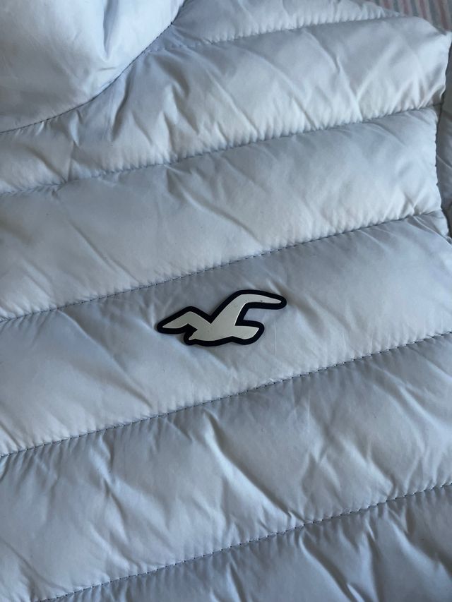 Plumas Hollister blanco