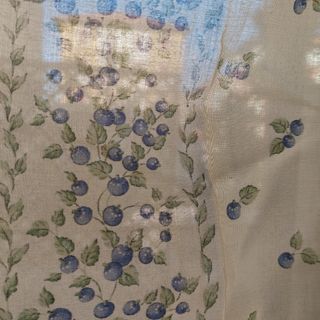 coppia tende country fiorellini azzurri