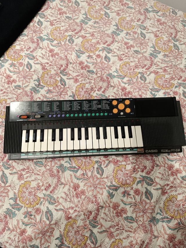 Órgano Casio PT88