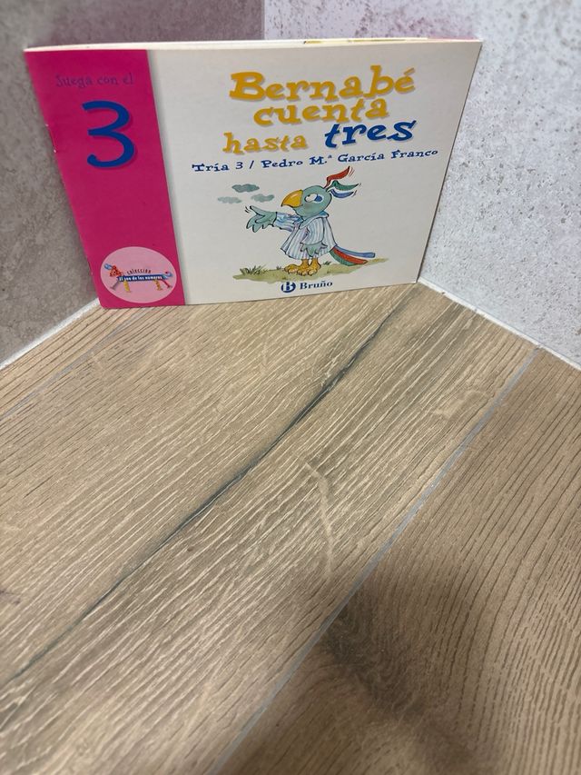 Coleccion de los números Bruño