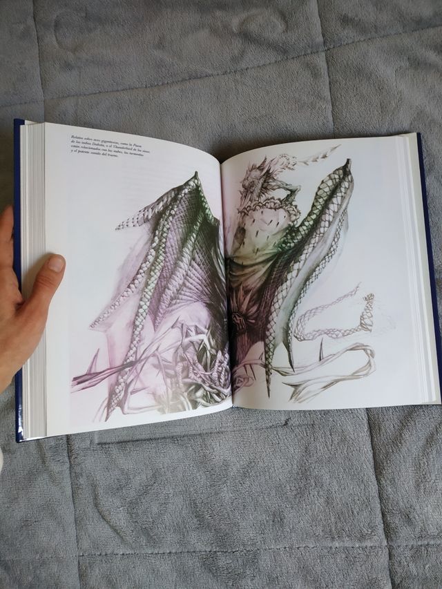 Bestiario mágico. Jesús Callejo